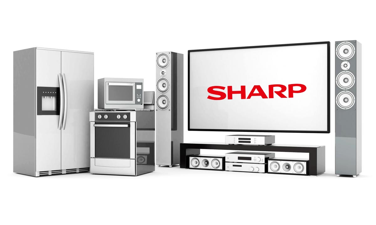 WhatsApp Image 2023 08 28 at 9.50.28 PM